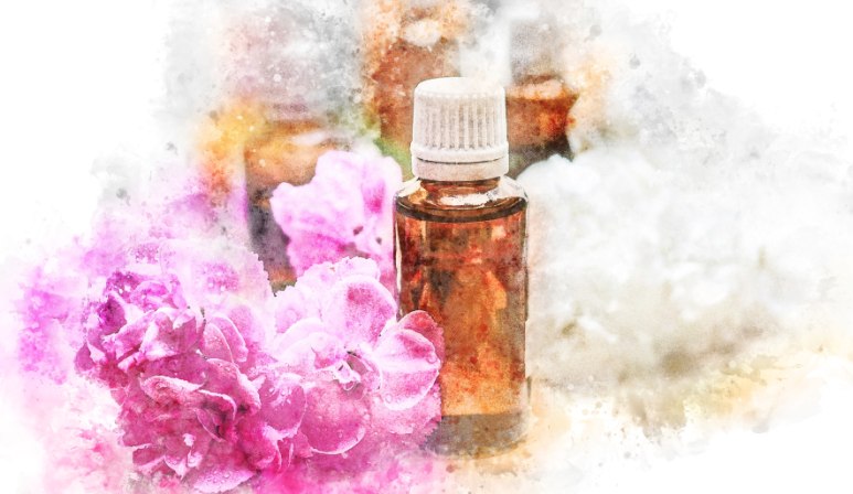 12 bästa billiga parfymer att ge bort som present